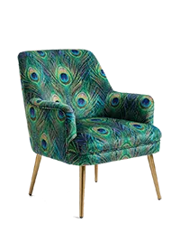 Salon ve Berjer Sandalyeleri